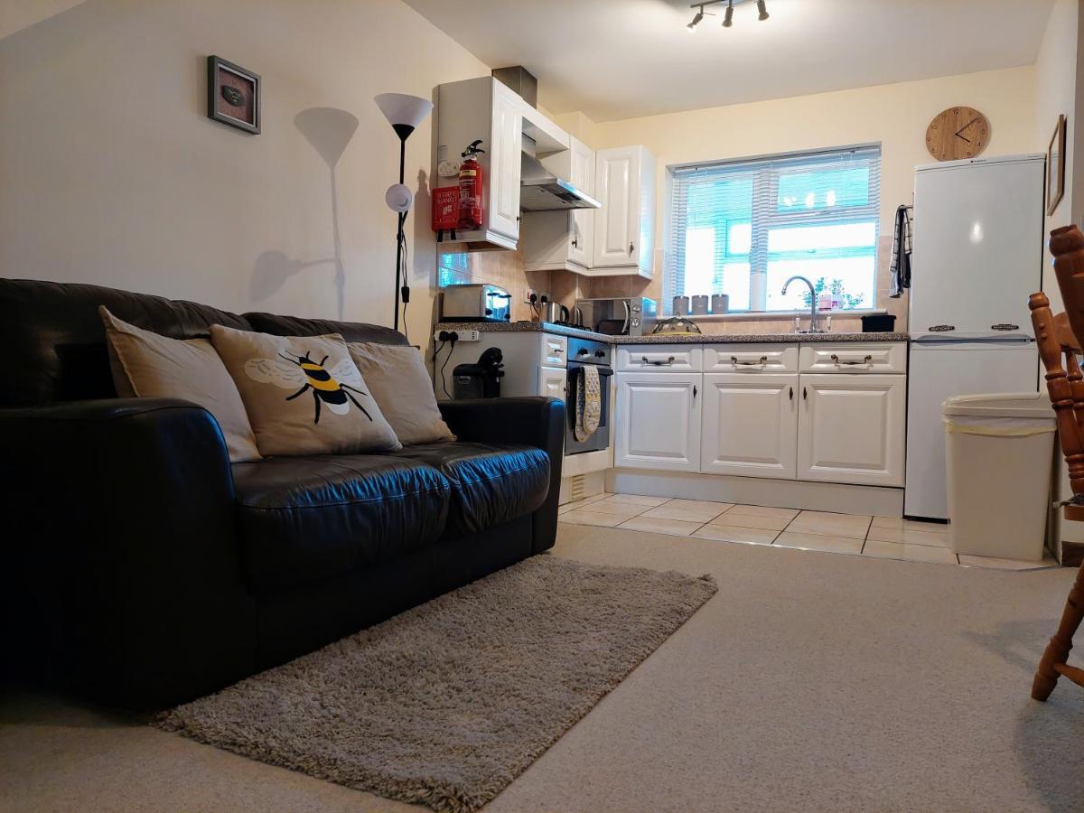 The Beehive - Self Catering In The Heart Of The Forest Of Dean Whitecroft Esterno foto