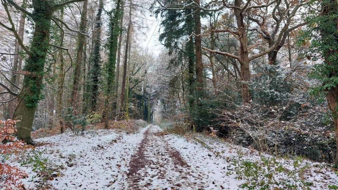 The Beehive - Self Catering In The Heart Of The Forest Of Dean Whitecroft Esterno foto