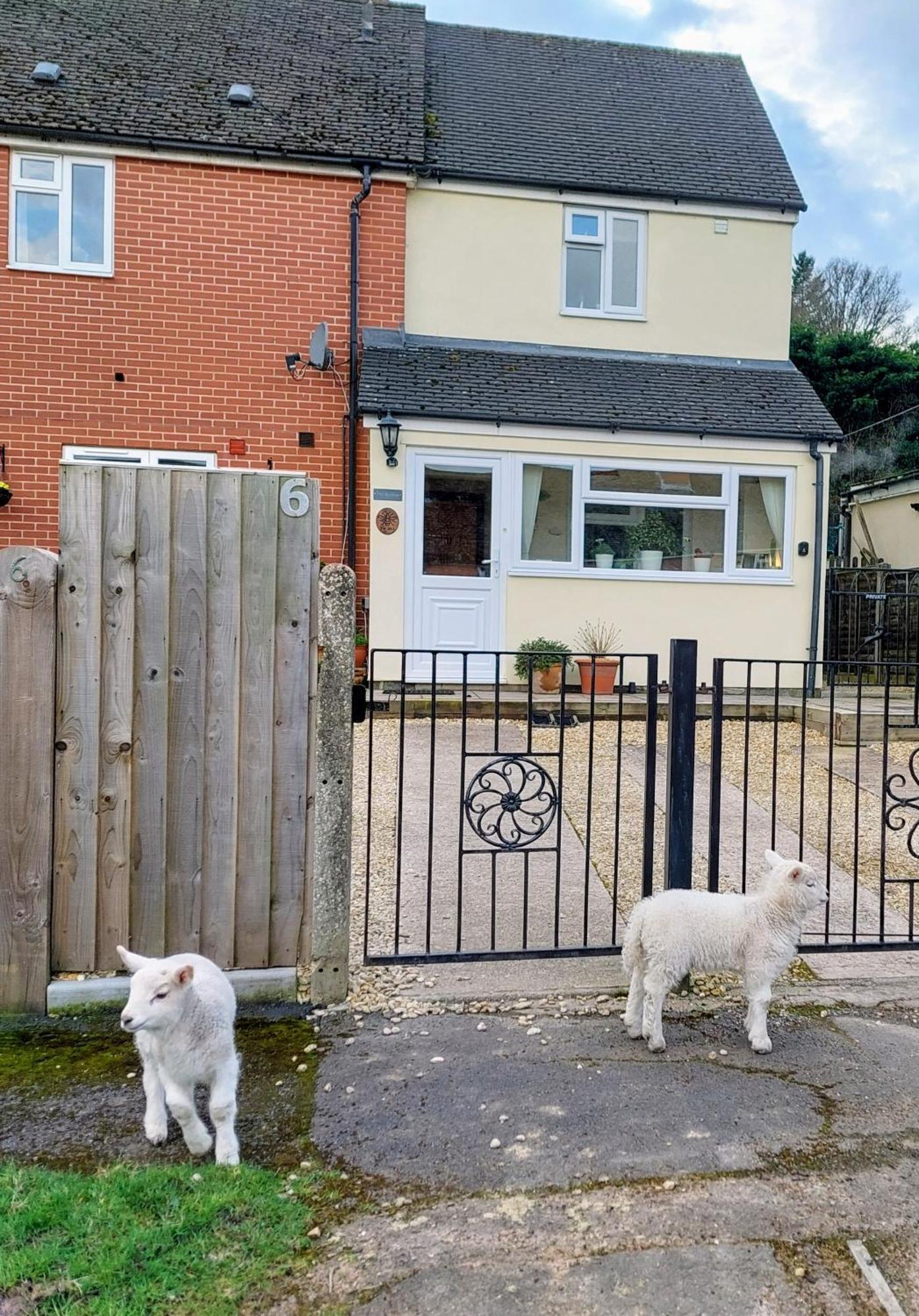 The Beehive - Self Catering In The Heart Of The Forest Of Dean Whitecroft Esterno foto